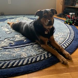 Meet your Posher, Terry